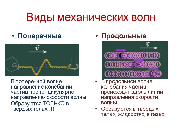 Виды механических волн Поперечные В поперечной волне направление колебаний частиц