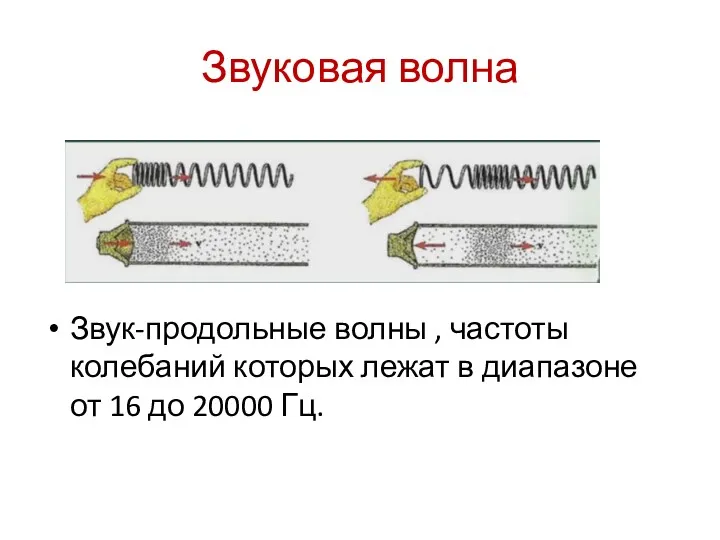 Звуковая волна Звук-продольные волны , частоты колебаний которых лежат в диапазоне от 16 до 20000 Гц.