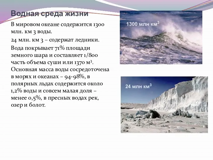 Водная среда жизни В мировом океане содержится 1300 млн. км