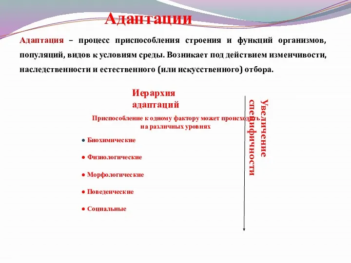 Адаптации Адаптация – процесс приспособления строения и функций организмов, популяций,