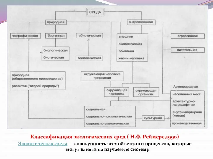 Классификация экологических сред ( Н.Ф. Реймерс,1990) Экологическая среда — совокупность