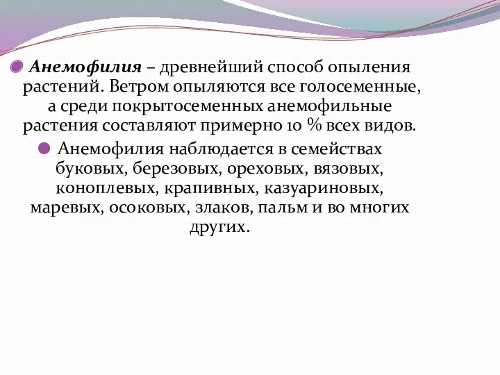 Анемофилия – древнейший способ опыления растений. Ветром опыляются все голосеменные,