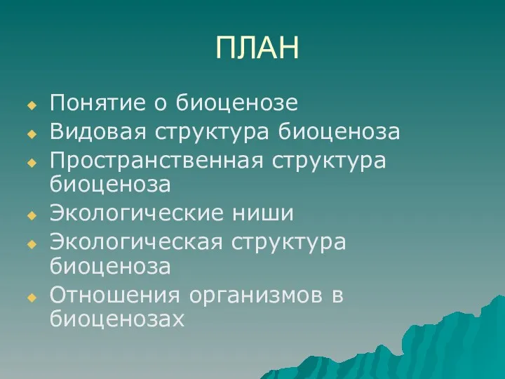 ПЛАН Понятие о биоценозе Видовая структура биоценоза Пространственная структура биоценоза