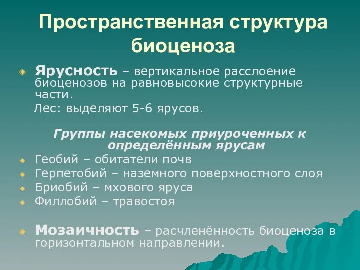 Пространственная структура биоценоза Ярусность – вертикальное расслоение биоценозов на равновысокие