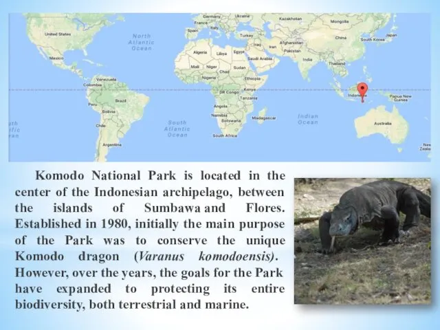 Komodo National Park is located in the center of the