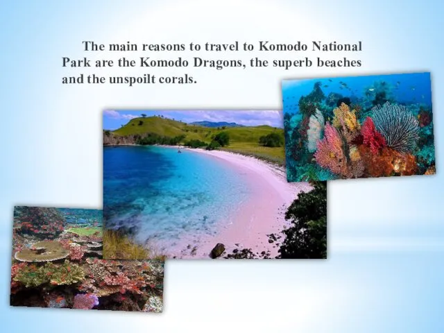 The main reasons to travel to Komodo National Park are