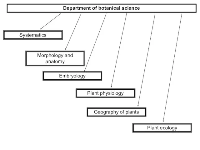 Department of botanical science Systematics Morphology and anatomy Embryology Geography of plants Plant ecology Plant physiology