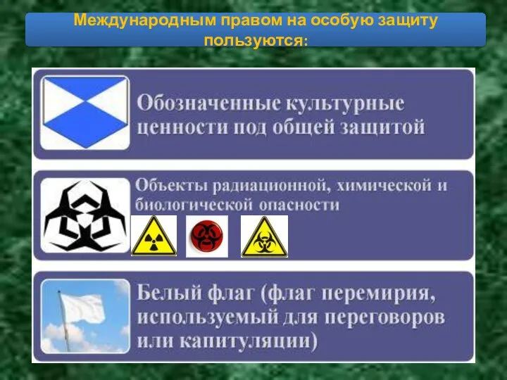 Международным правом на особую защиту пользуются: