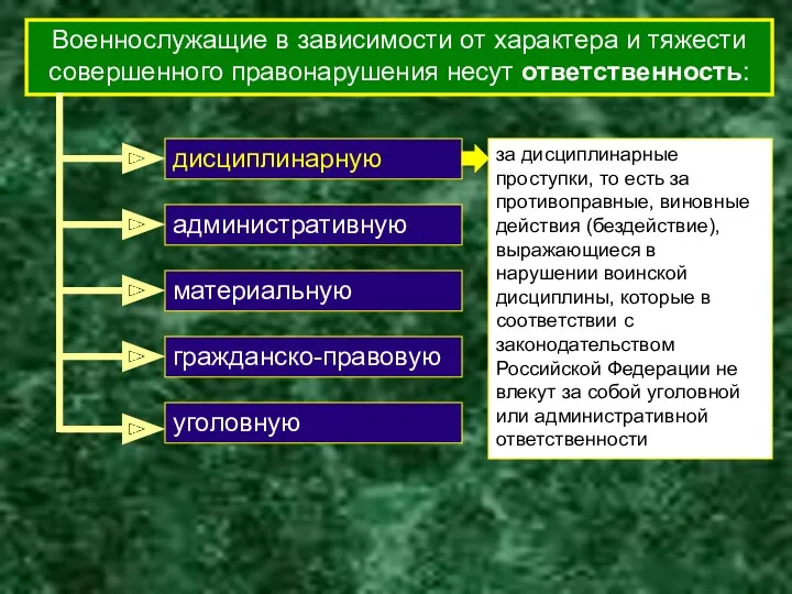 Военнослужащие в зависимости от характера и тяжести совершенного правонарушения несут