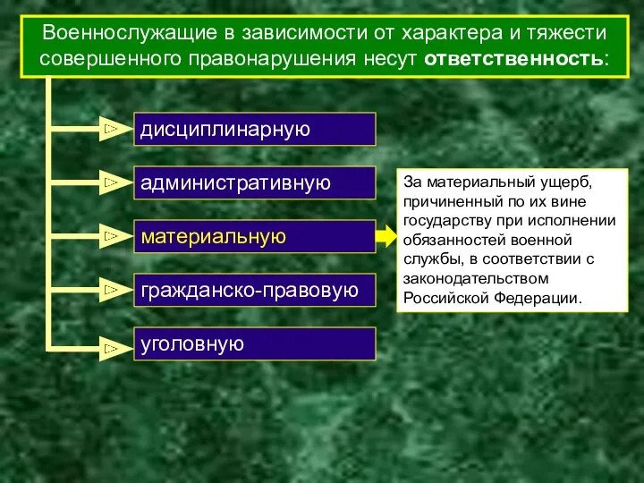 Военнослужащие в зависимости от характера и тяжести совершенного правонарушения несут