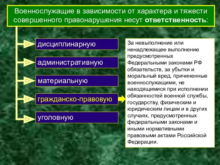 Военнослужащие в зависимости от характера и тяжести совершенного правонарушения несут