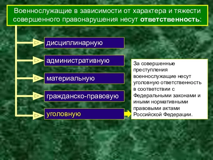 Военнослужащие в зависимости от характера и тяжести совершенного правонарушения несут