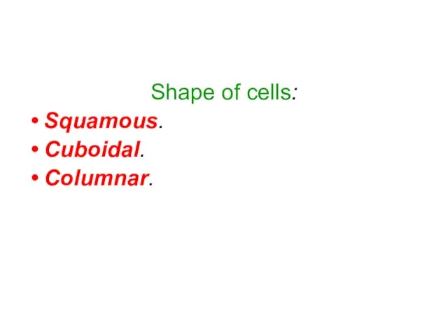 Shape of cells: Squamous. Cuboidal. Columnar.