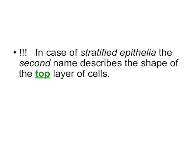 !!! In case of stratified epithelia the second name describes