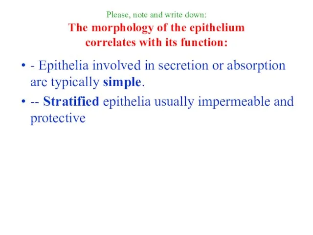 Please, note and write down: The morphology of the epithelium