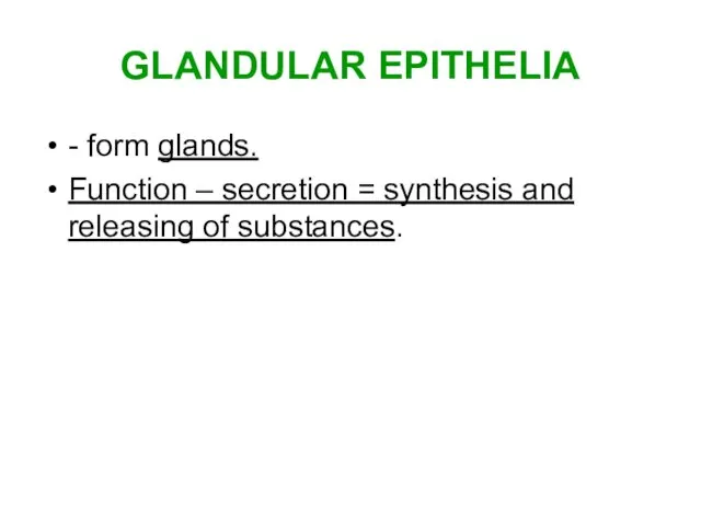 GLANDULAR EPITHELIA - form glands. Function – secretion = synthesis and releasing of substances.