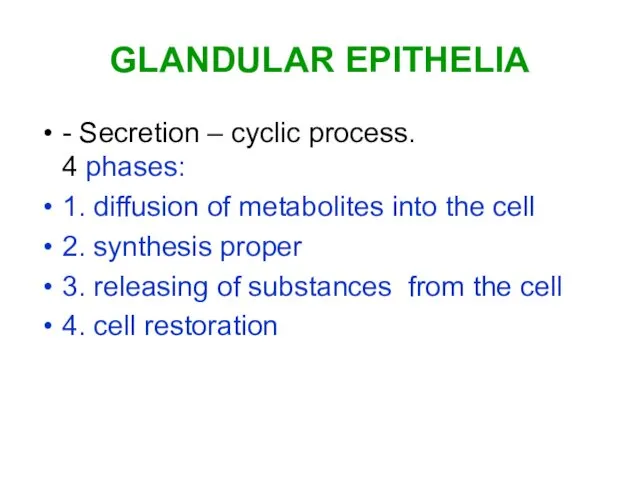 GLANDULAR EPITHELIA - Secretion – cyclic process. 4 phases: 1.