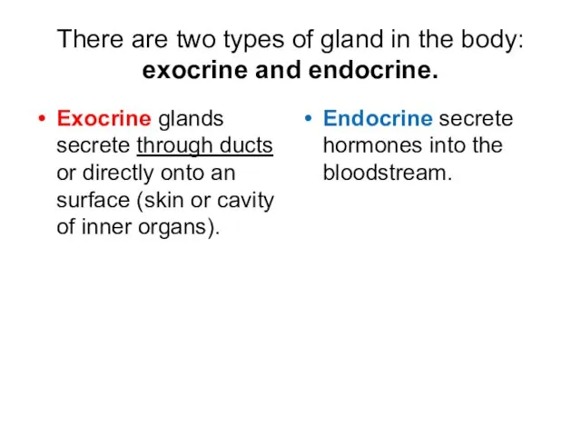 There are two types of gland in the body: exocrine