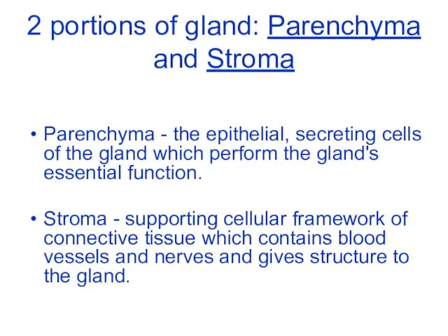 2 portions of gland: Parenchyma and Stroma Parenchyma - the