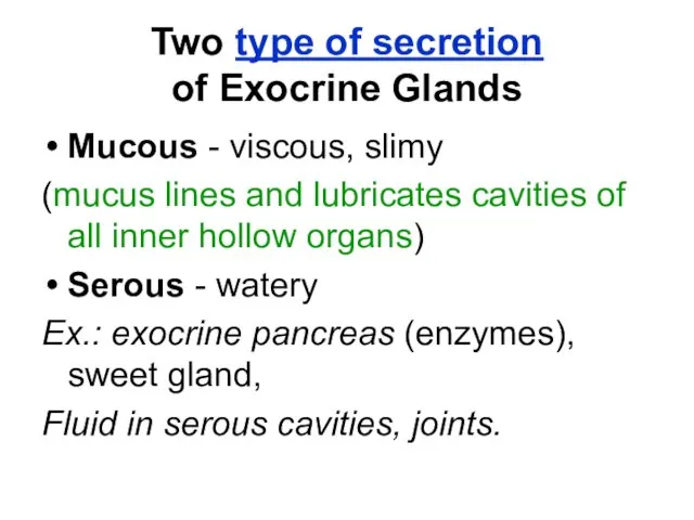 Two type of secretion of Exocrine Glands Mucous - viscous,