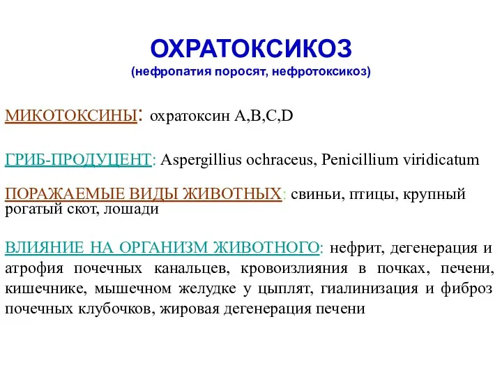 ОХРАТОКСИКОЗ (нефропатия поросят, нефротоксикоз) МИКОТОКСИНЫ: охратоксин A,B,C,D ГРИБ-ПРОДУЦЕНТ: Aspergillius ochraceus,