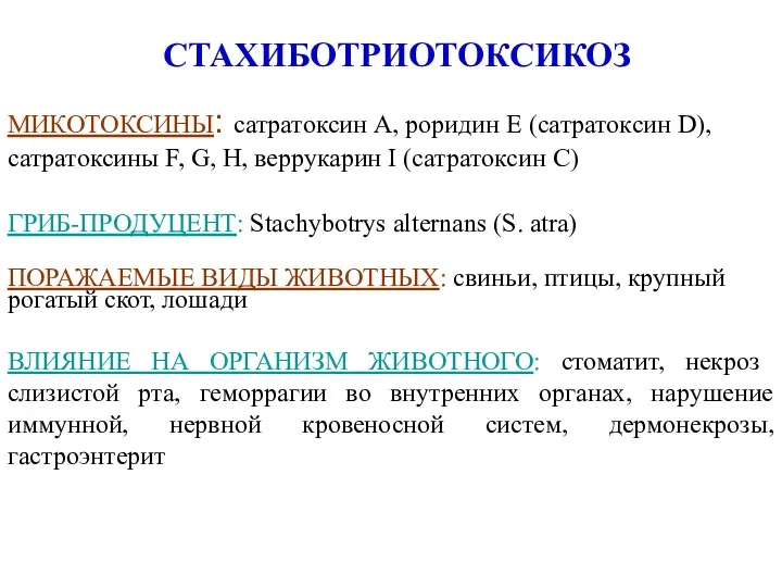 СТАХИБОТРИОТОКСИКОЗ МИКОТОКСИНЫ: сатратоксин А, роридин Е (сатратоксин D), сатратоксины F,