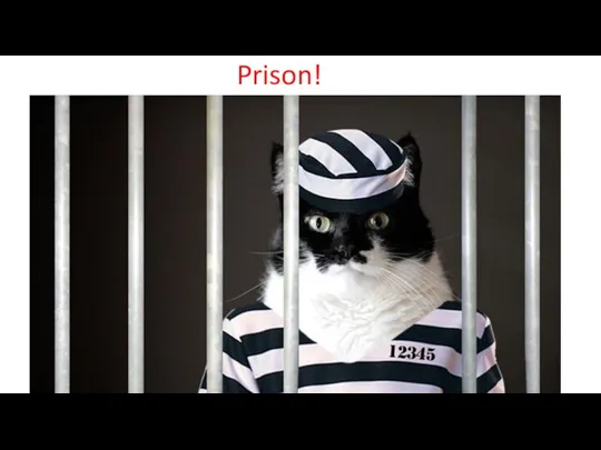 Prison!