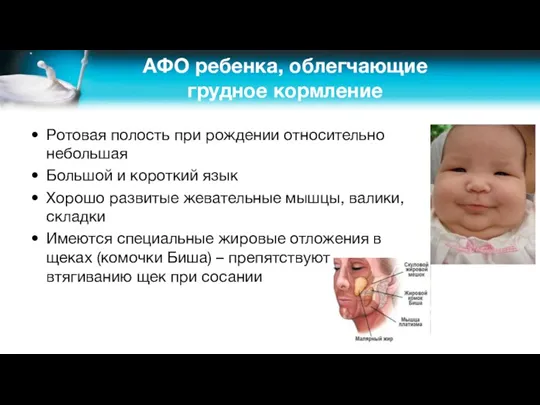 АФО ребенка, облегчающие грудное кормление Ротовая полость при рождении относительно