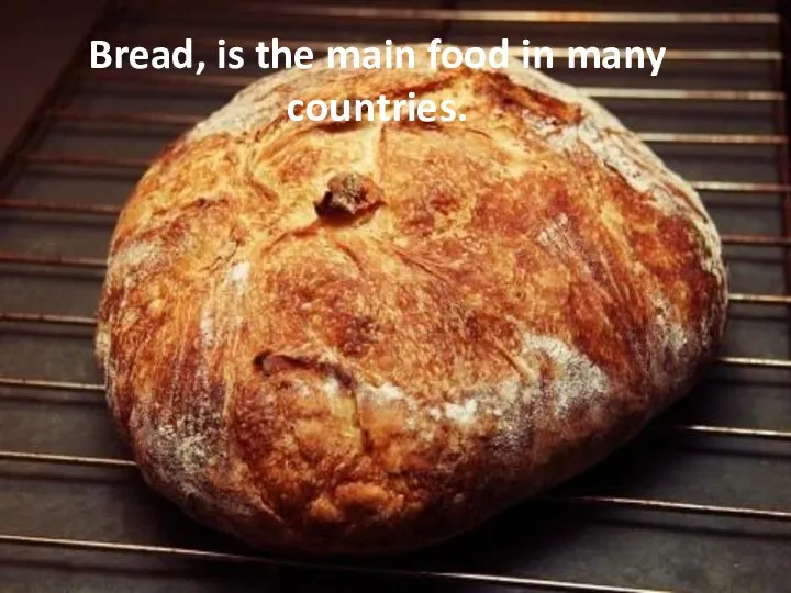 Bread, is the main food in many countries.