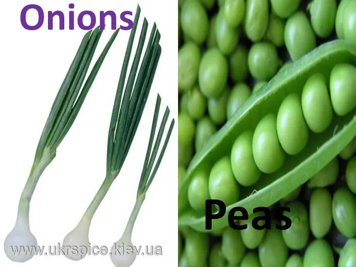 Onions Peas