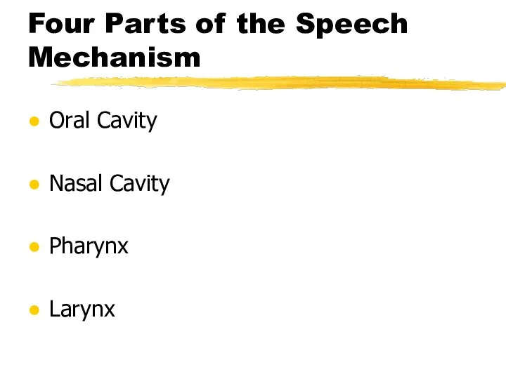 Four Parts of the Speech Mechanism Oral Cavity Nasal Cavity Pharynx Larynx