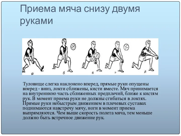 Приема мяча снизу двумя руками Туловище слегка наклонено вперед, прямые