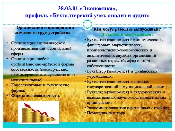 38.03.01 «Экономика», профиль «Бухгалтерский учет, анализ и аудит» Организации и