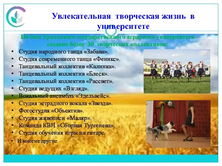 Увлекательная творческая жизнь в университете На базе Уральского государственного аграрного