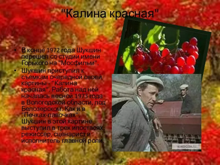 "Калина красная" В конце 1972 года Шукшин перешел со студии