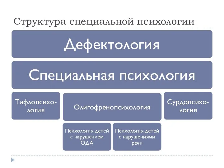 Структура специальной психологии