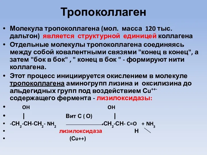Тропоколлаген Молекула тропоколлагена (мол. масса 120 тыс. дальтон) является структурной единицей коллагена Отдельные