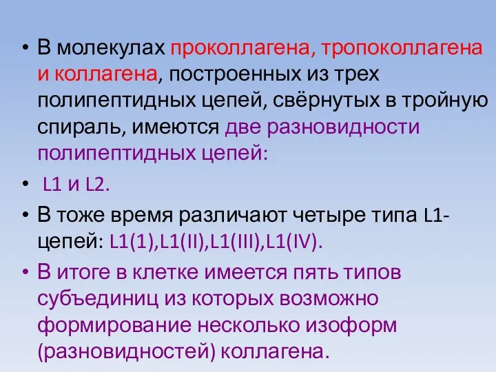 В молекулах проколлагена, тропоколлагена и коллагена, построенных из трех полипептидных