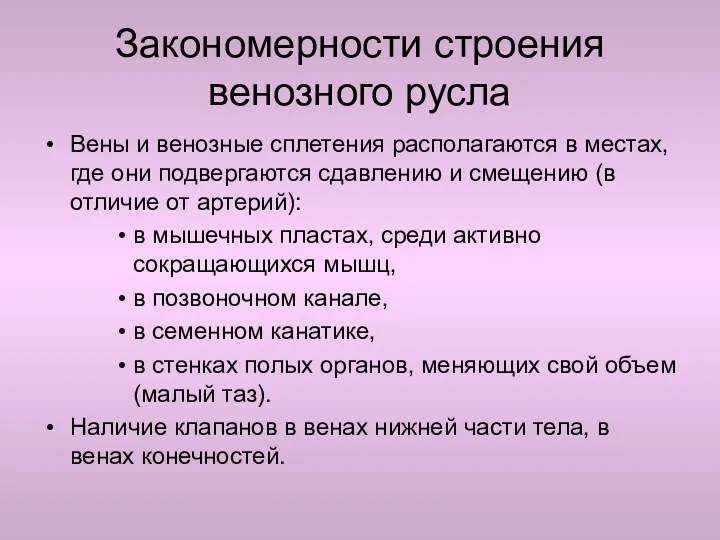 Закономерности строения венозного русла Вены и венозные сплетения располагаются в