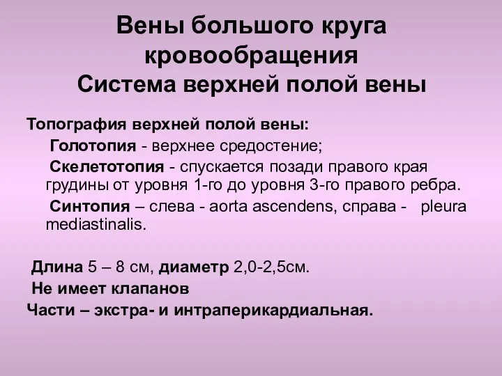 Вены большого круга кровообращения Система верхней полой вены Топография верхней