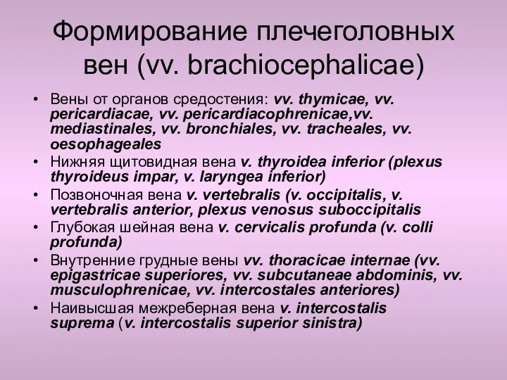 Формирование плечеголовных вен (vv. brachiocephalicae) Вены от органов средостения: vv.