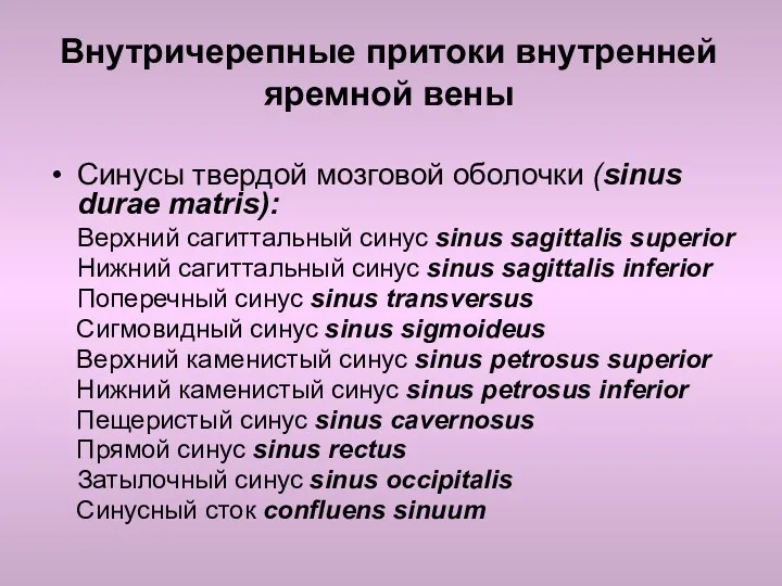 Внутричерепные притоки внутренней яремной вены Синусы твердой мозговой оболочки (sinus