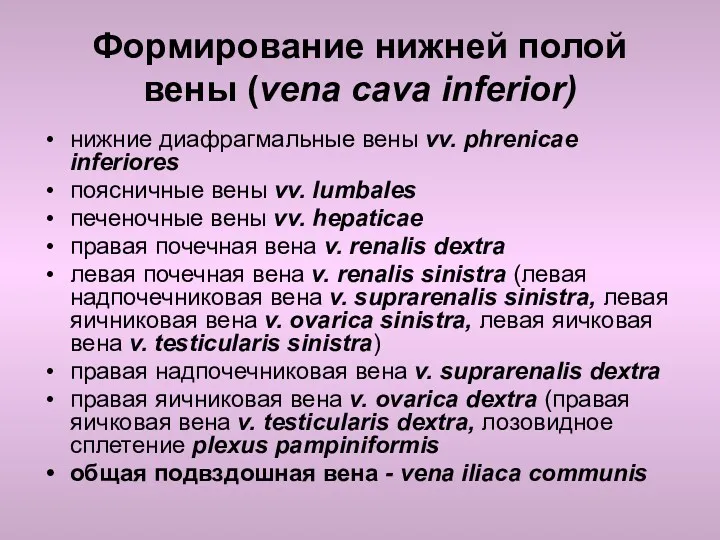 Формирование нижней полой вены (vena cava inferior) нижние диафрагмальные вены