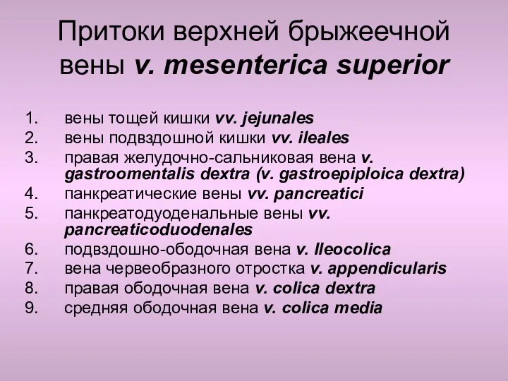 Притоки верхней брыжеечной вены v. mesenterica superior вены тощей кишки