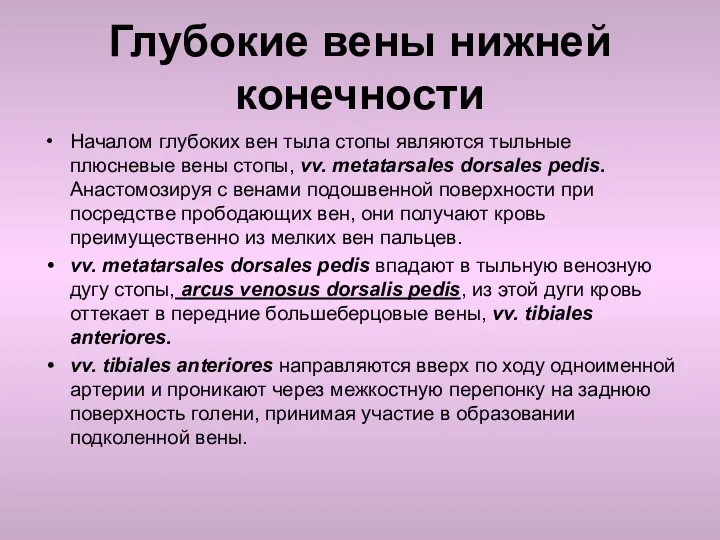 Глубокие вены нижней конечности Началом глубоких вен тыла стопы являются