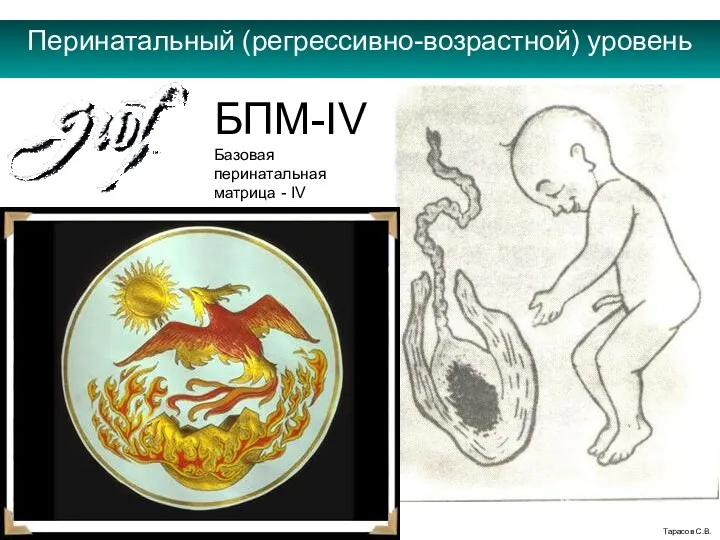 Перинатальный (регрессивно-возрастной) уровень Тарасов С.В. БПМ-IV Базовая перинатальная матрица - IV