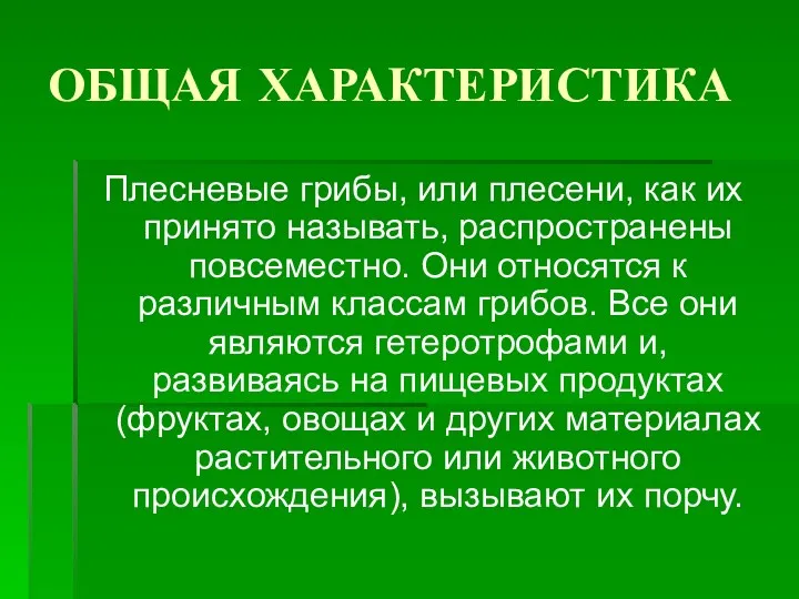 ОБЩАЯ ХАРАКТЕРИСТИКА Плесневые грибы, или плесени, как их принято называть,