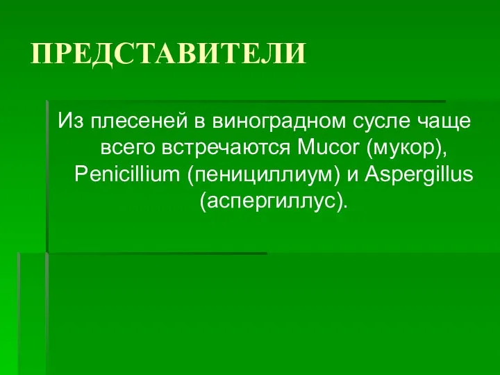 ПРЕДСТАВИТЕЛИ Из плесеней в виноградном сусле чаще всего встречаются Мuсоr (мукор), Penicillium (пенициллиум) и Aspergillus (аспергиллус).