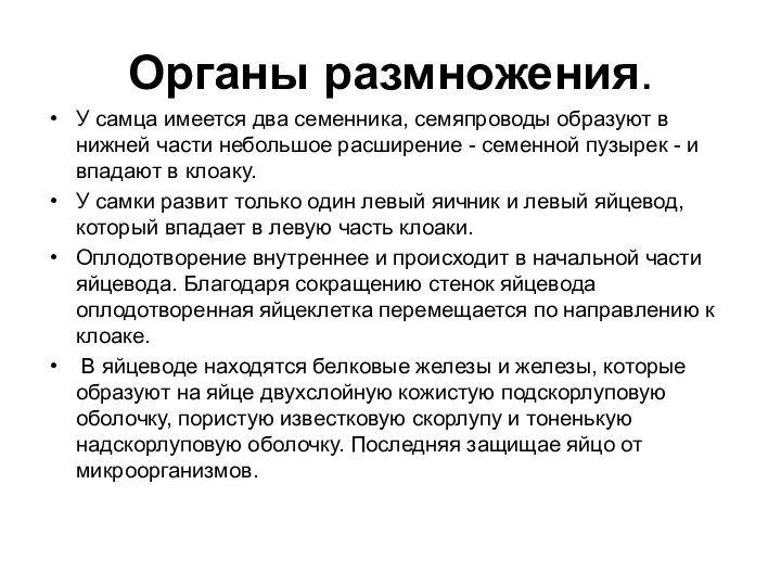 Органы размножения. У самца имеется два семенника, семяпроводы образуют в