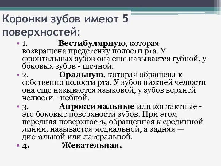 Коронки зубов имеют 5 поверхностей: 1. Вестибулярную, которая возвращена предстенку